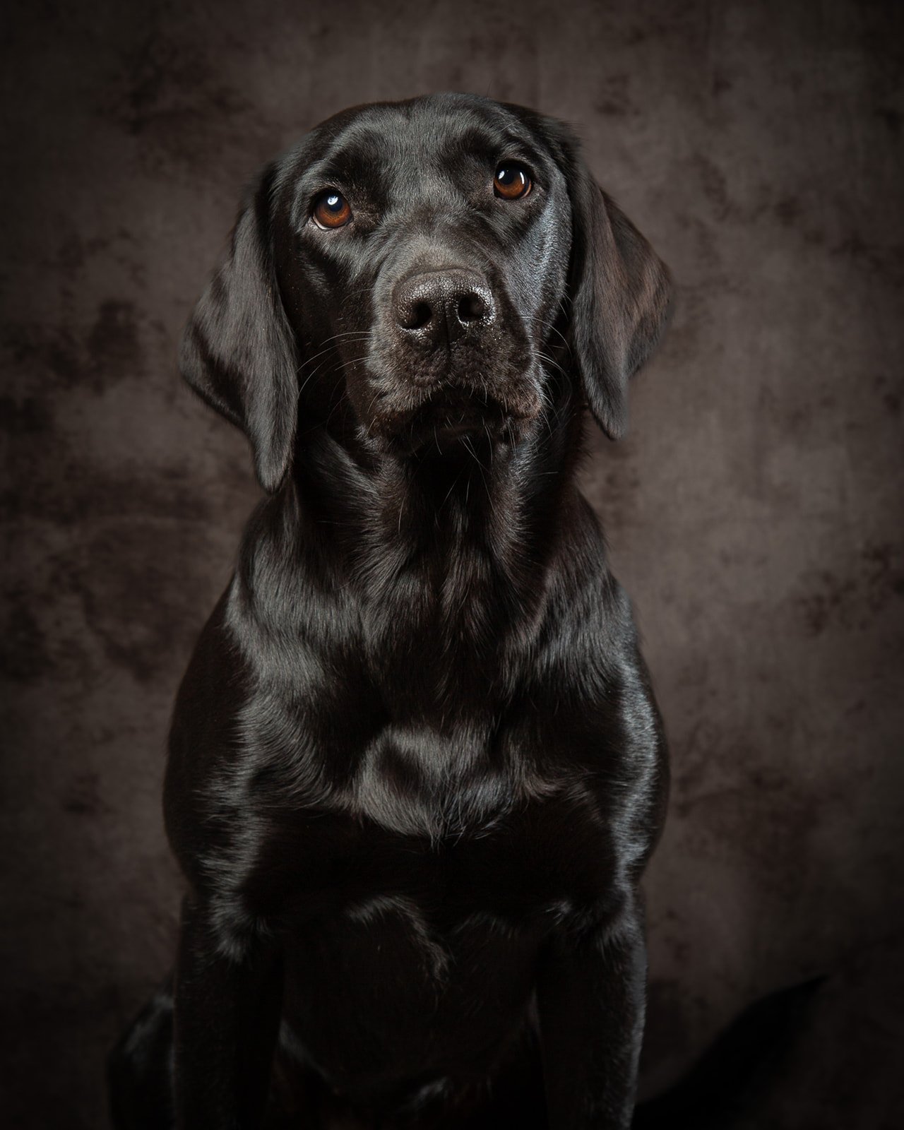 Gemma 8th Nov 2025